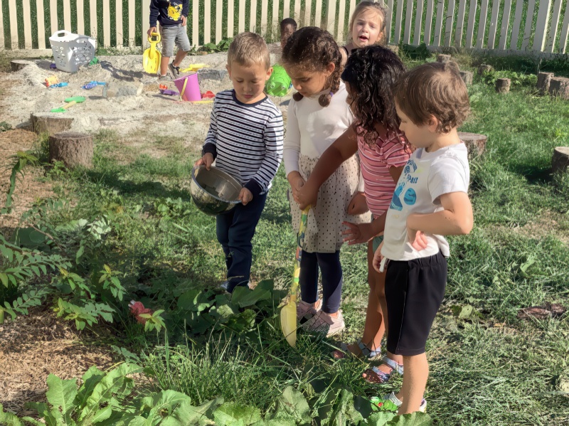 Children engaged in various activities in a colorful school garden, surrounded by plants and flowers.